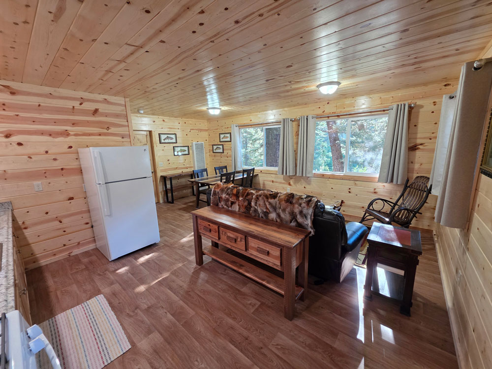 cabin 41